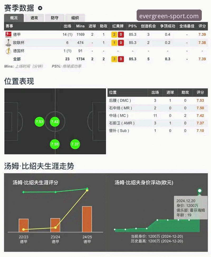 四季体育平台专业评测：一场数据与体验交织的体育盛宴深度剖析